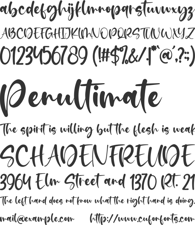 Bridesgirl font preview