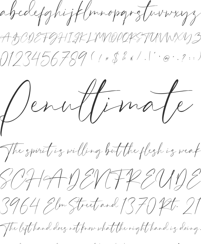 Birdsong font preview