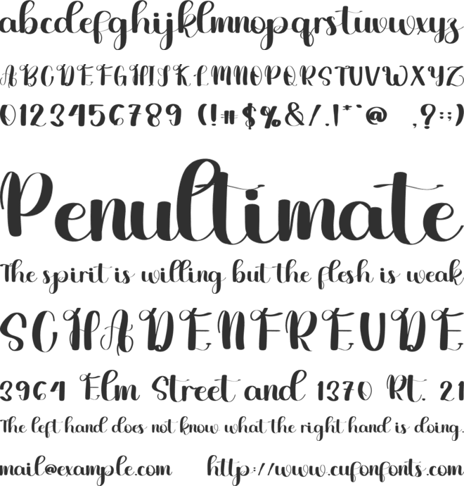 Vintage Christmas font preview