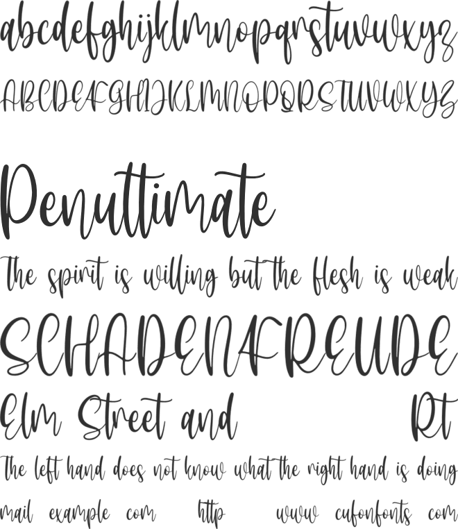 Ballessi font preview