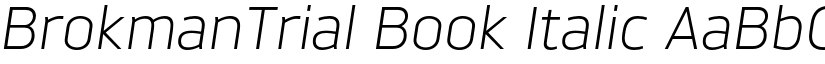 BrokmanTrial Book Italic font
