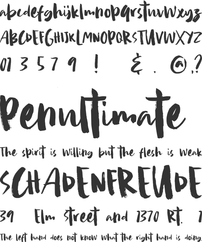 Camilla One font preview