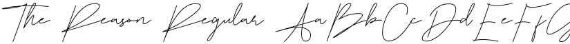 The Reason Regular font