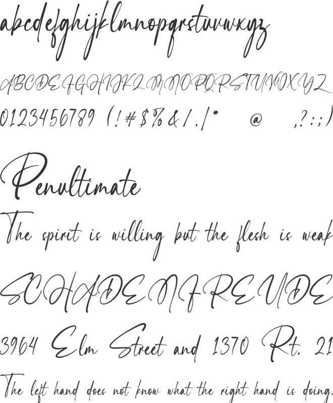 Signatura font preview