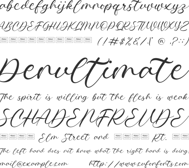 Courting font preview