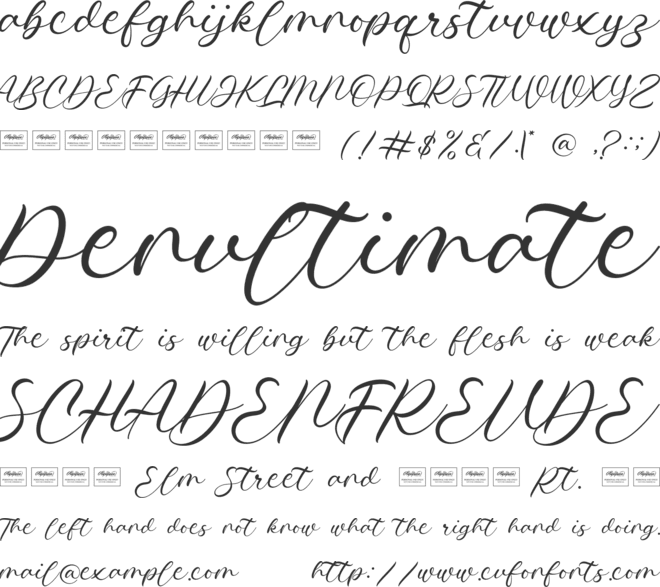 Courting font preview