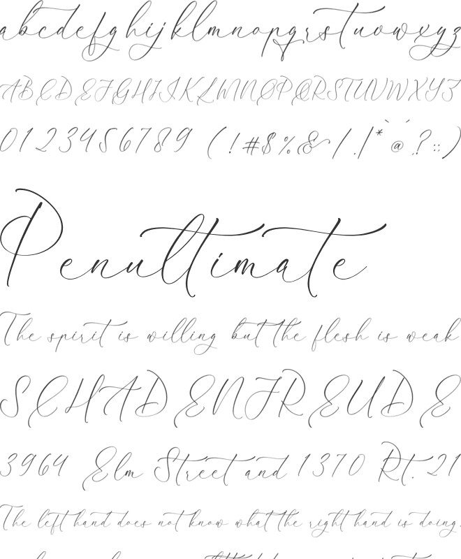 Qloveland Marrtin font preview