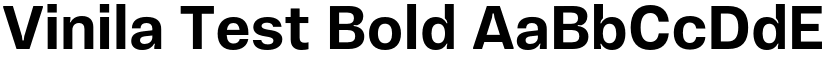 Vinila Test Bold font