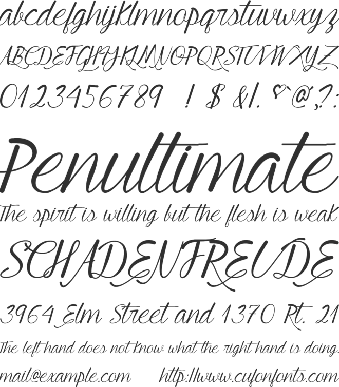 Young & Beautiful font preview