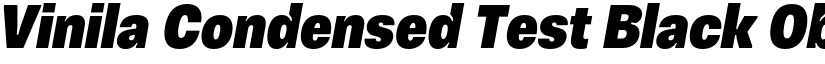 Vinila Condensed Test Black Oblique font