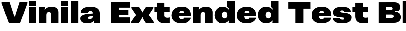 Vinila Extended Test Black font