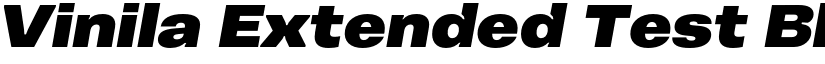 Vinila Extended Test Black Oblique font