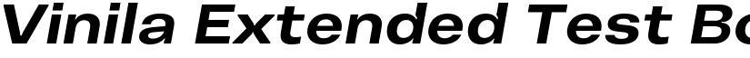 Vinila Extended Test Bold Oblique font