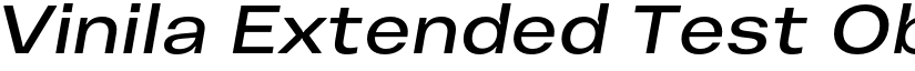 Vinila Extended Test Oblique font