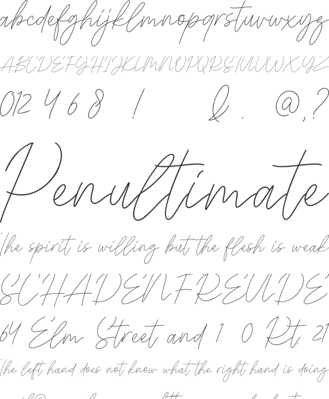 Signaline Script font preview