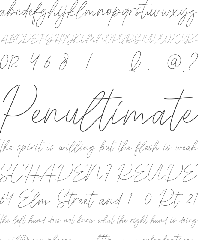 Signaline Script font preview