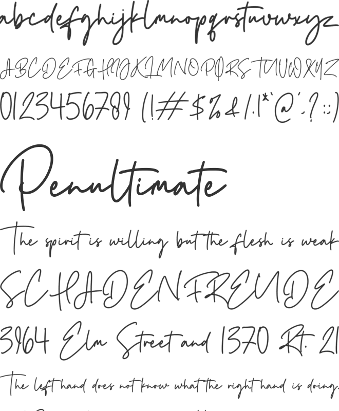 Righten font preview