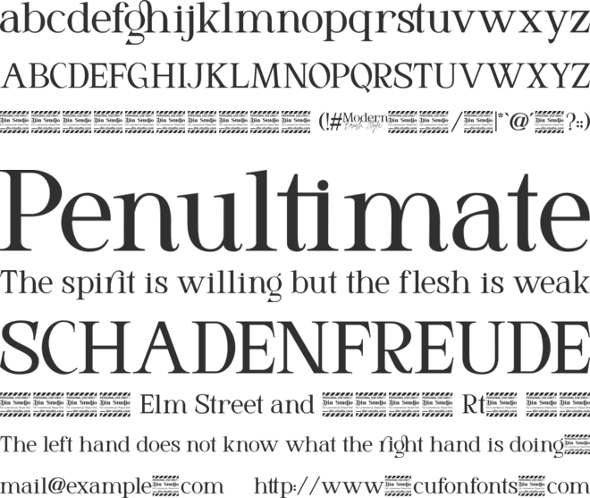 Modern Brush Style Serif Personal Use font preview