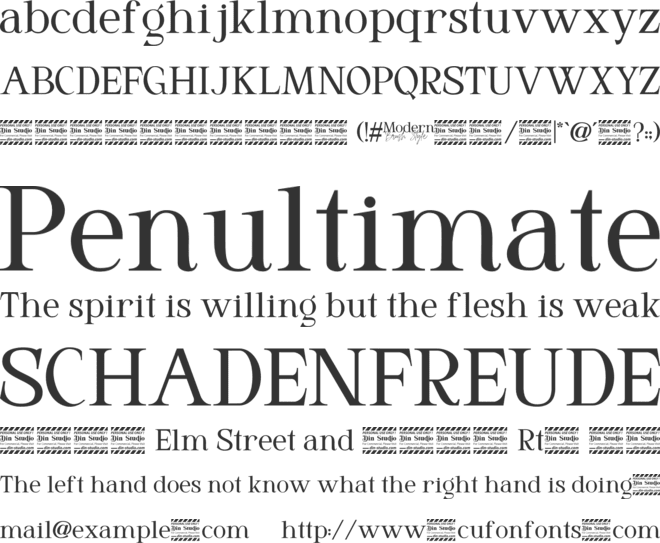 Modern Brush Style Serif Personal Use font preview