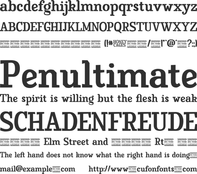 Honey Cages Personal Use font preview
