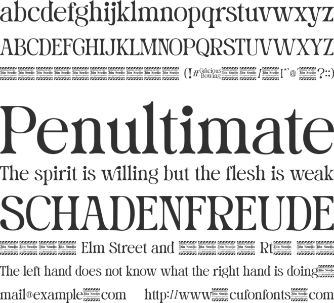 Gracious Bowing Personal Use font preview