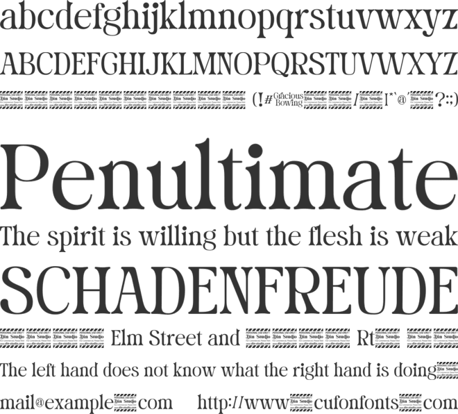 Gracious Bowing Personal Use font preview