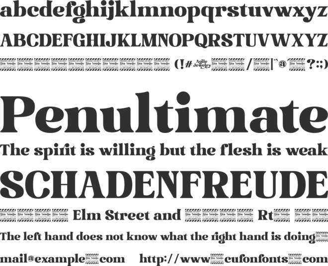 Agile Jewelry Personal Use font preview