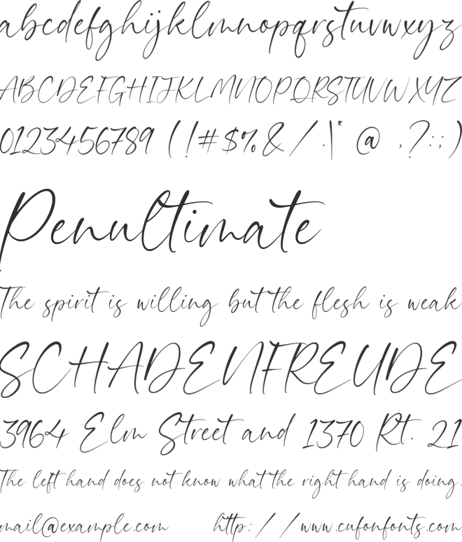 Daytimes font preview