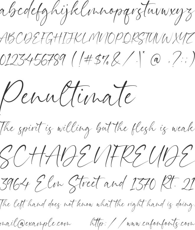 Daytimes font preview