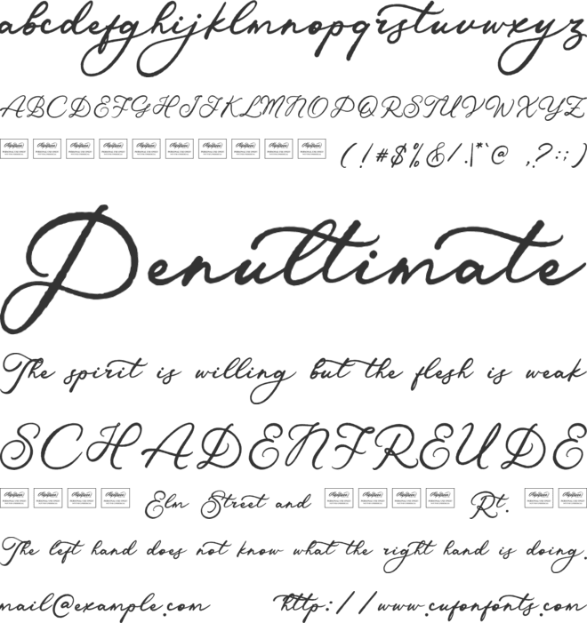 Verified Script font preview