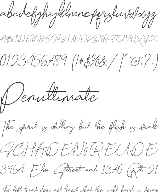 Madjestic Comfort Script font preview