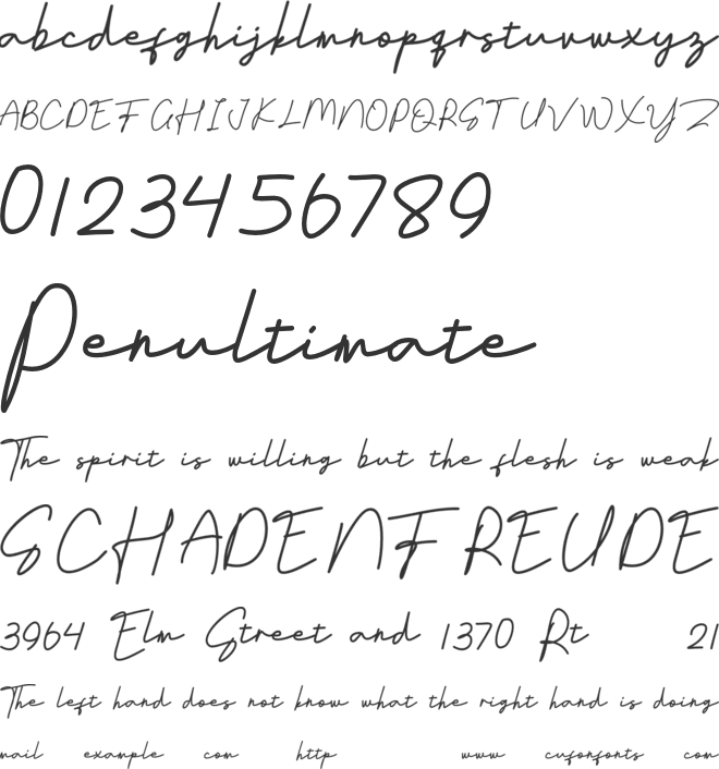 Carolyn font preview