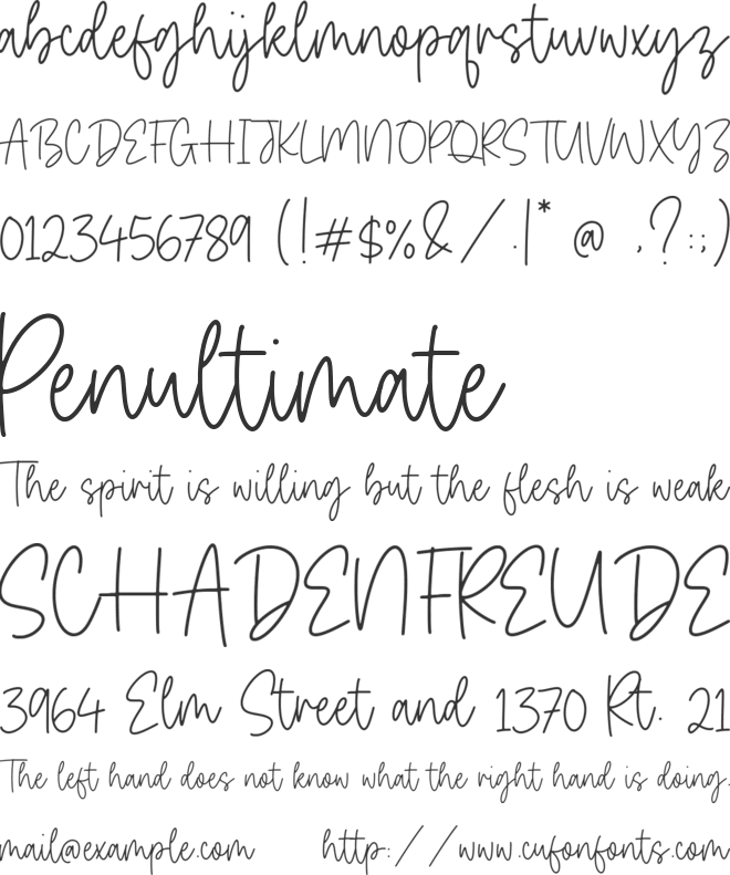 Bitter Robusta font preview