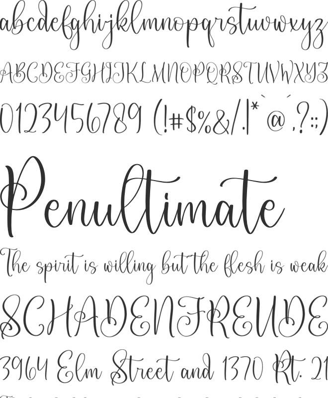 Constaince Matequeen font preview