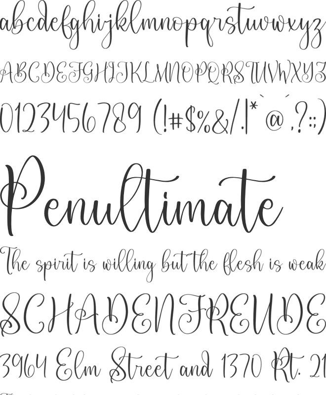 Constaince Matequeen font preview
