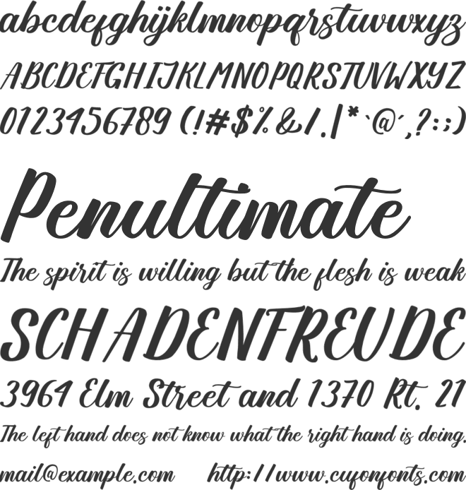Angellya font preview