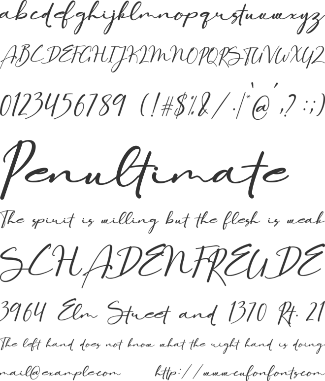 Antero Wild font preview