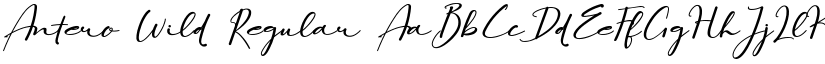 Antero Wild Regular font