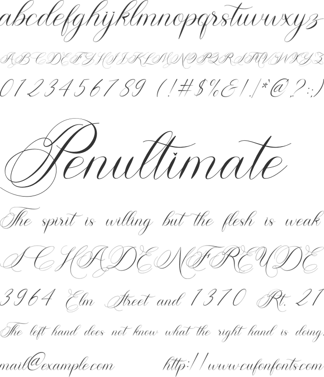 Sweet Flourishing font preview