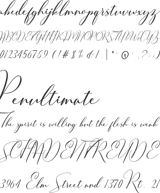 Thougai font preview