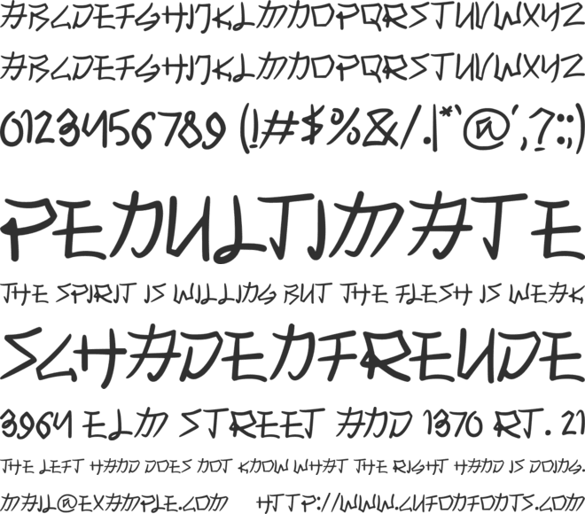 Kashiwa font preview