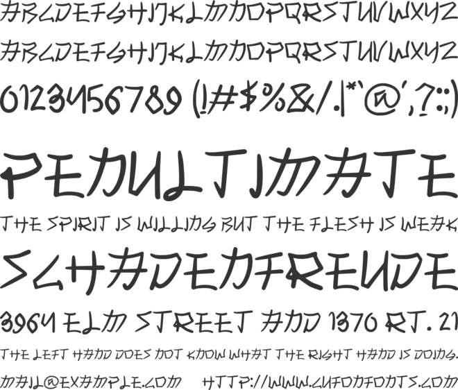 Kashiwa font preview