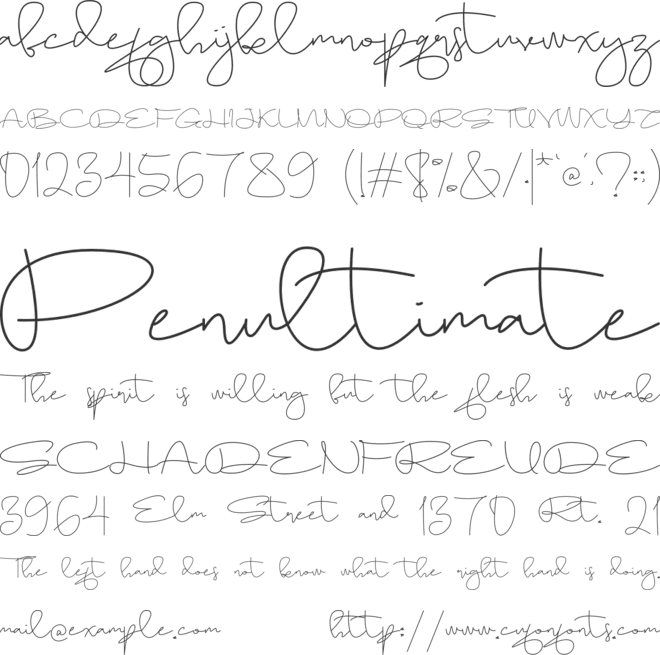 Sameday font preview