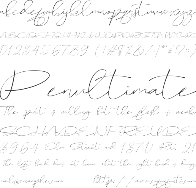 Sameday Signature font preview