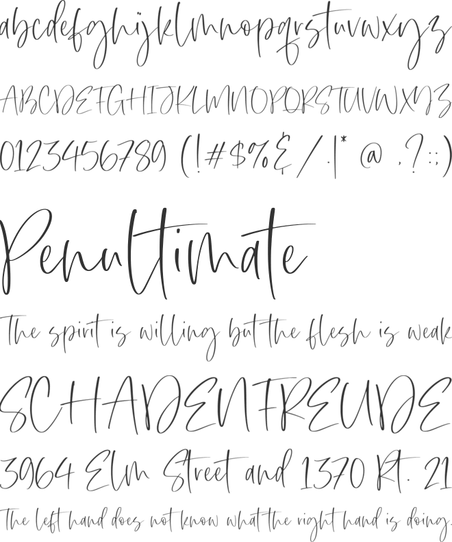 Mighty Beast font preview