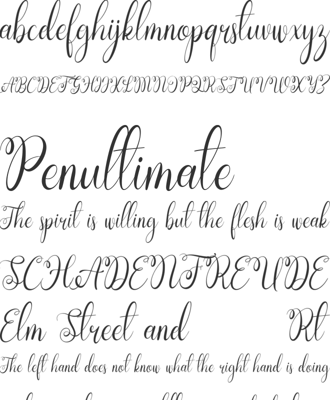 Olynchan font preview