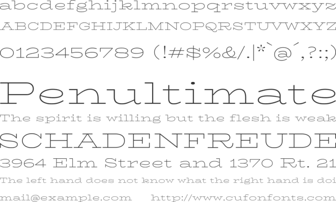 BhuTuka Expanded One font preview