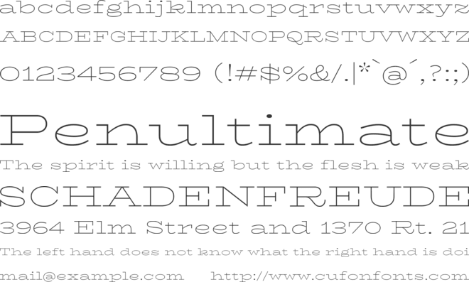 BhuTuka Expanded One font preview