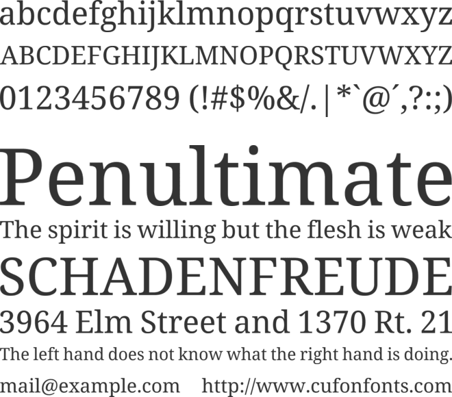 Noto Serif Ahom font preview