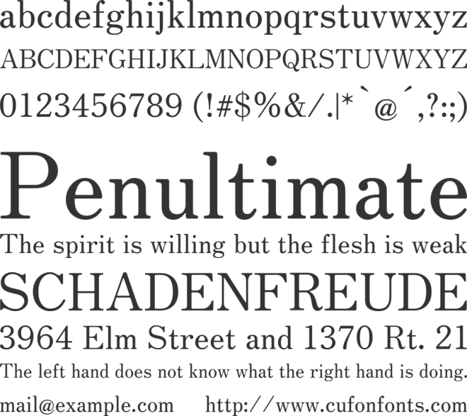 Zen Old Mincho font preview